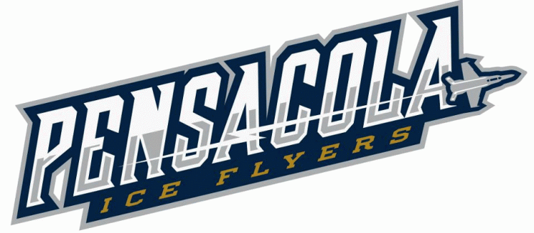 pensacola ice flyers 2012 wordmark logo iron on heat transfer